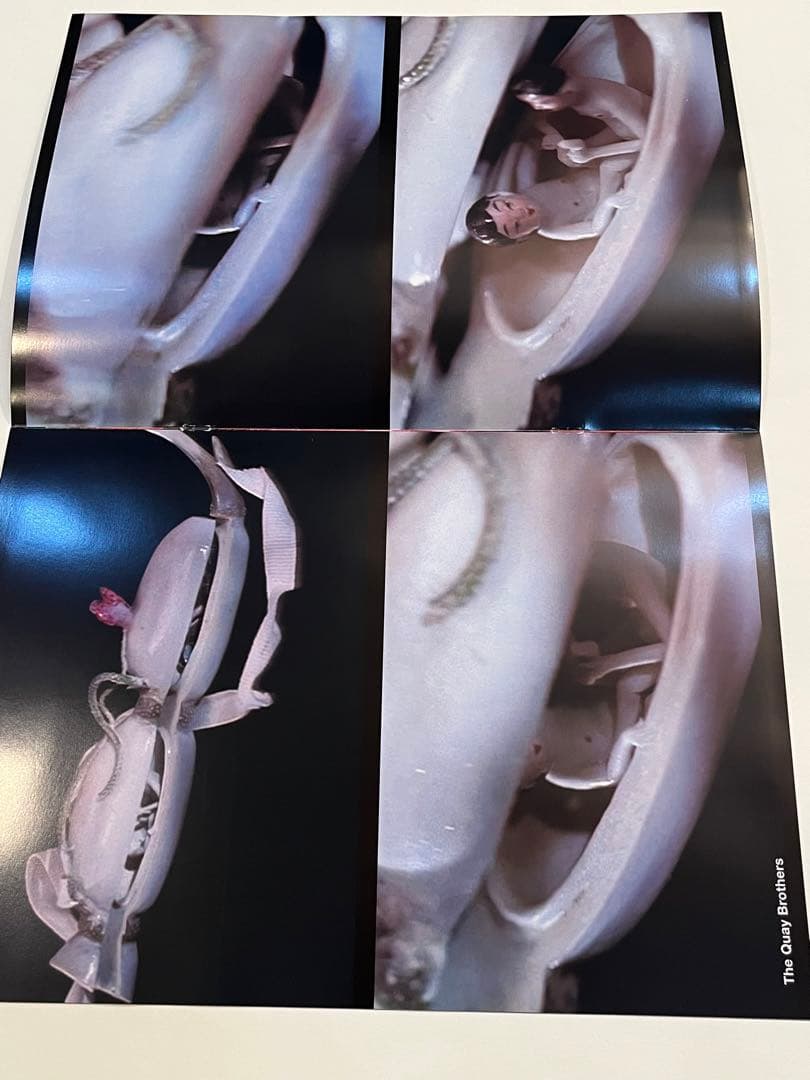 希少　コムデギャルソン　非売品アート冊子　SIX purple ④