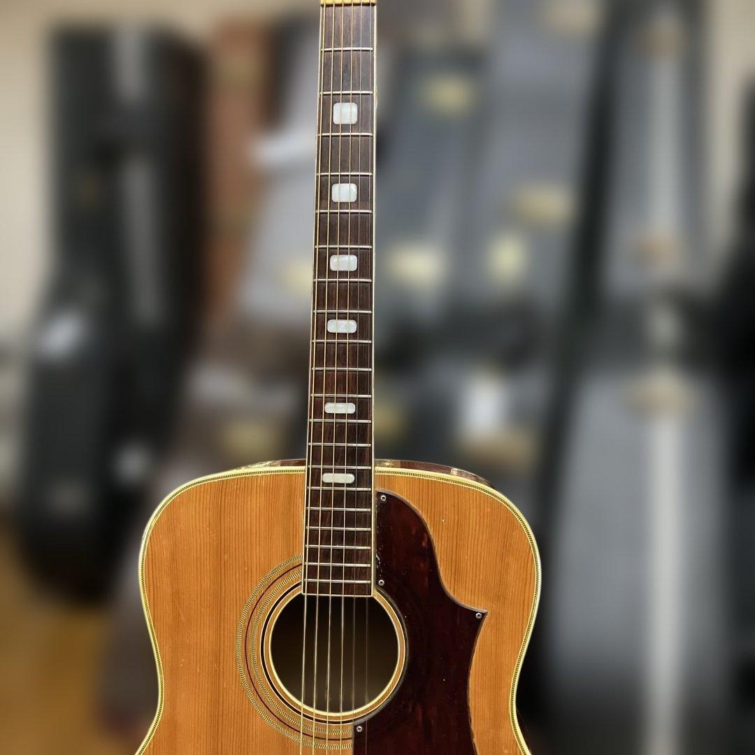 ジャパンヴィンテージ　auditionギター