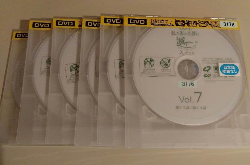 韓国ドラマ　ある日、私の家の玄関に滅亡が入ってきた　dvd 全巻