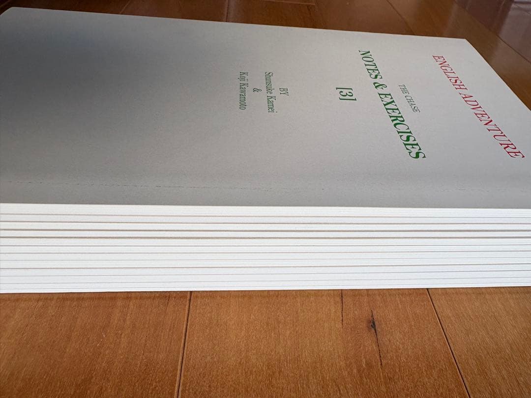 全巻フルセット　イングリッシュアドベンチャー　追跡　THE CHASE 英語教材