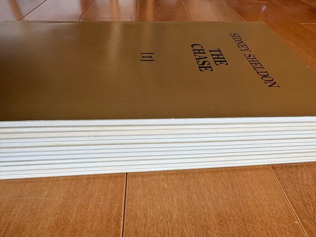 全巻フルセット　イングリッシュアドベンチャー　追跡　THE CHASE 英語教材