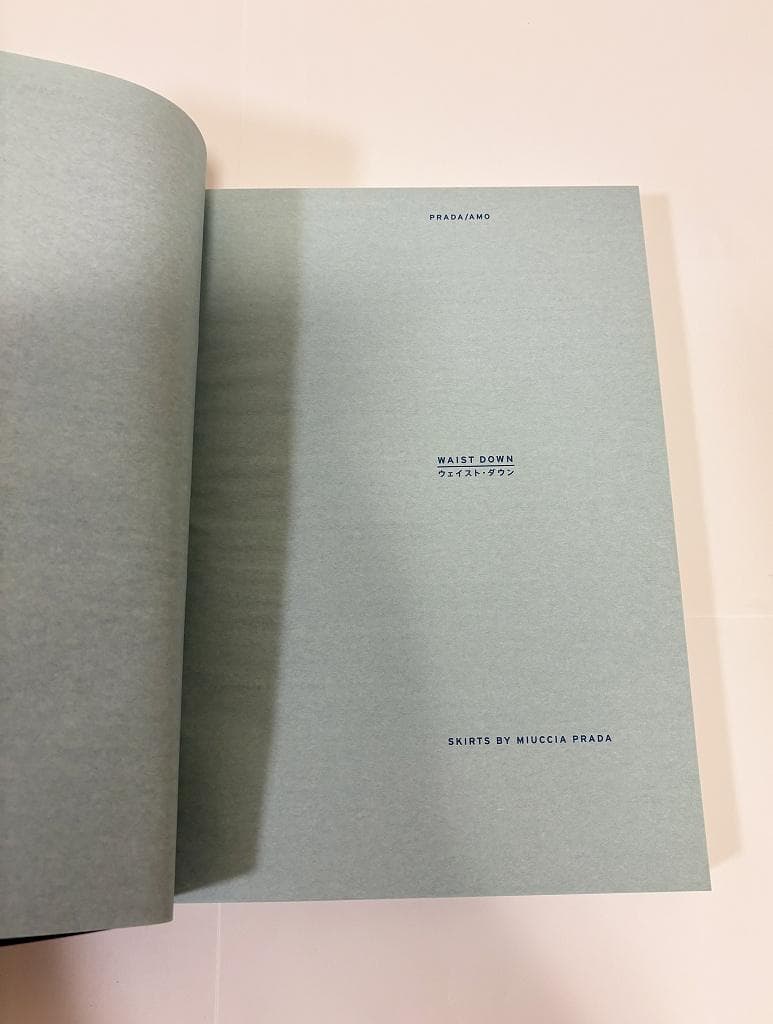 WAIST DOWN：SKIRTS BY MIUCCIA PRADA