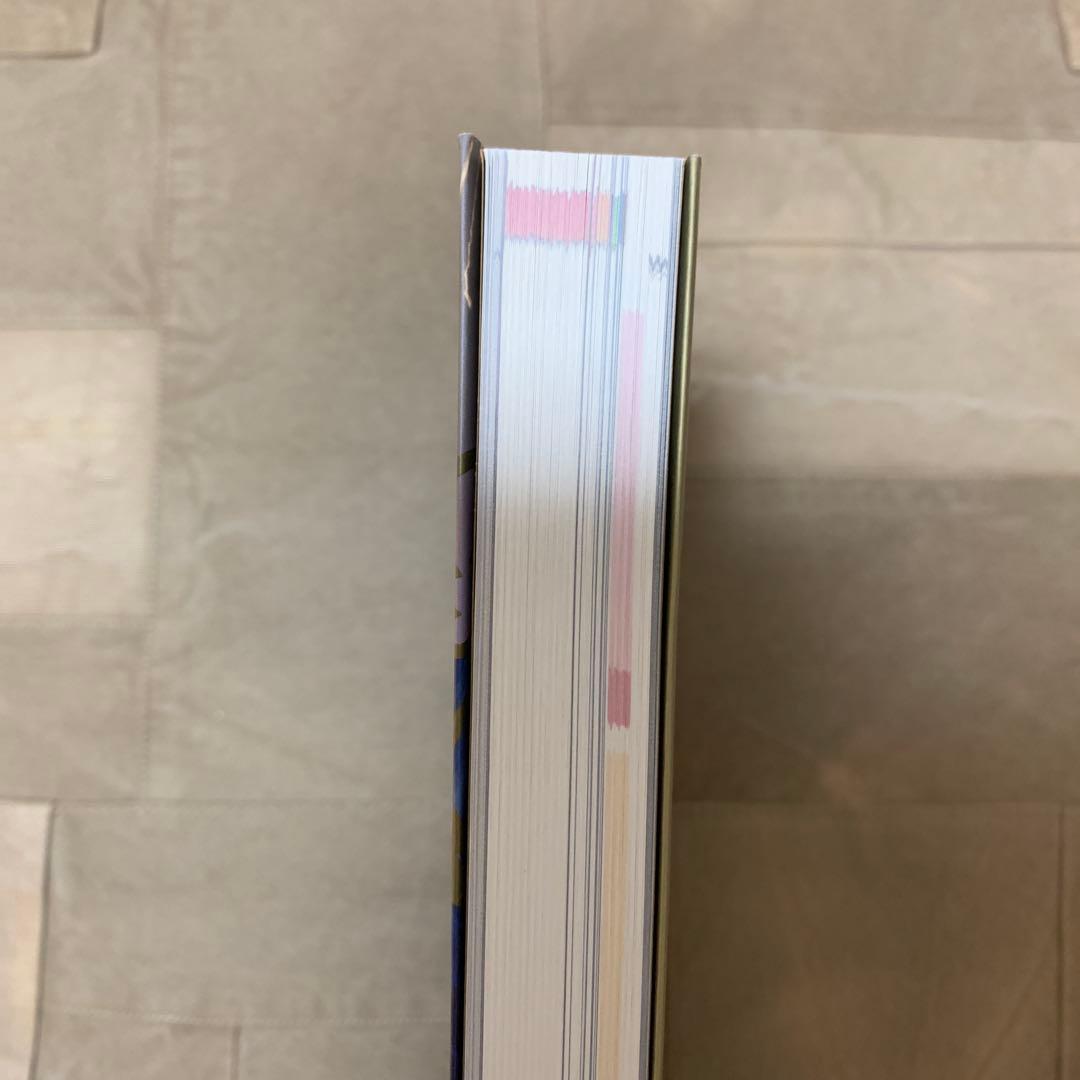 虹の橋渡りつづけて : 宝塚歌劇100年史 舞台編