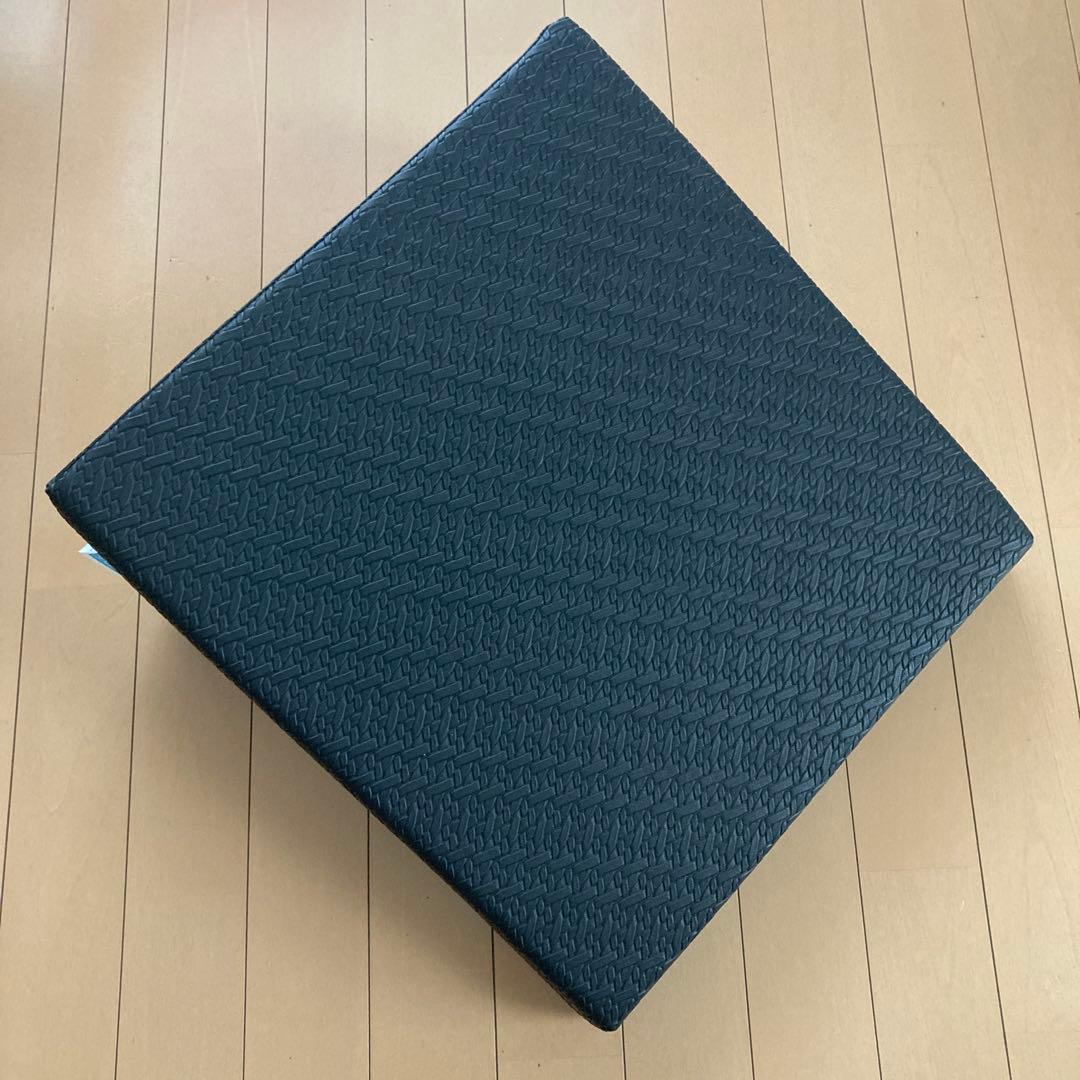 サンテプラス　フレックスクッション　トレーニング用 ブラッククッション