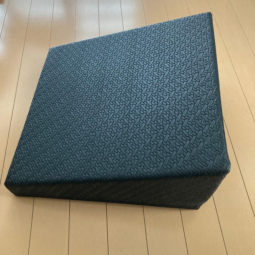 サンテプラス　フレックスクッション　トレーニング用 ブラッククッション