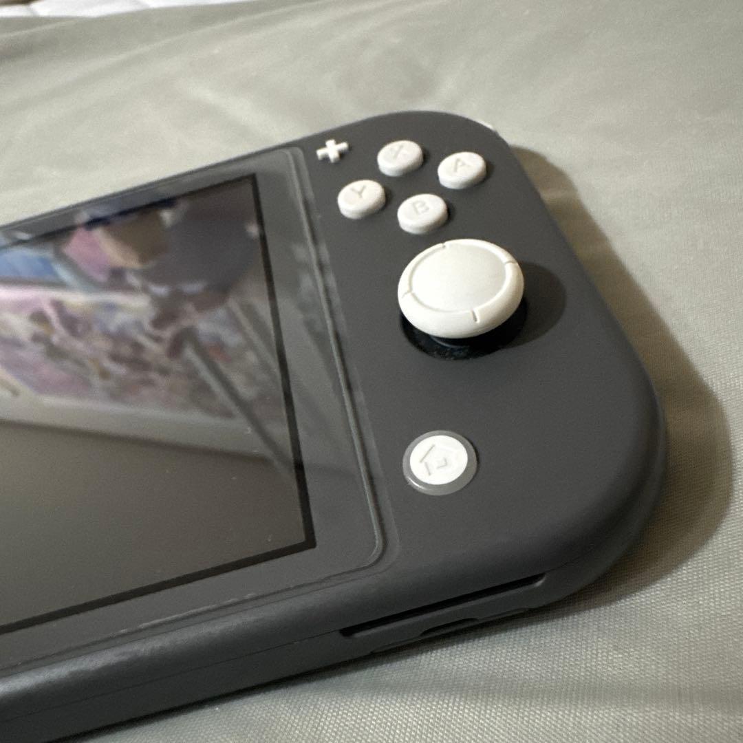 Switch ライト 本体