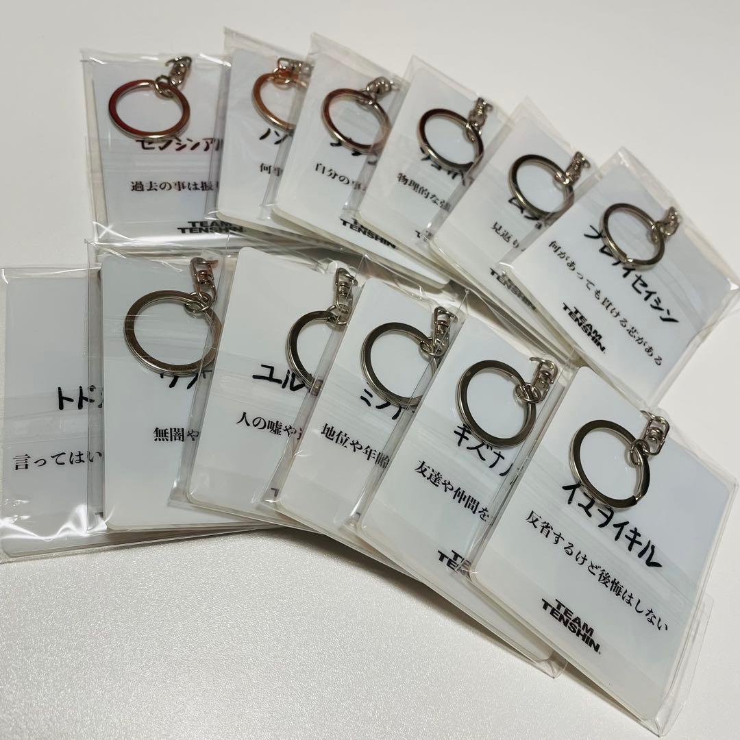 那須川天心☆かんきもアクリルキーホルダー12点セット