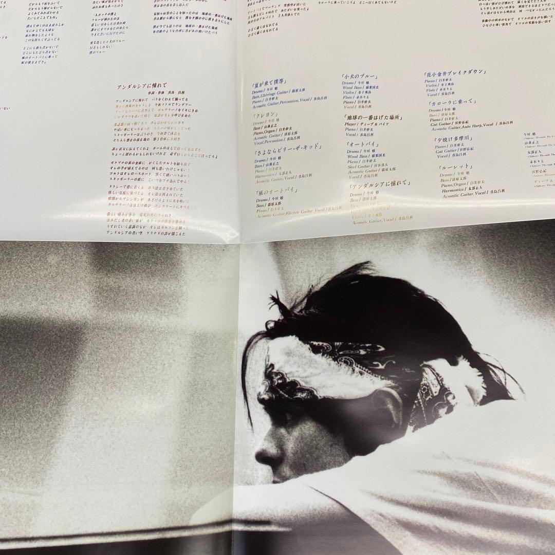 真島昌利／夏のぬけがら 12インチアナログレコード