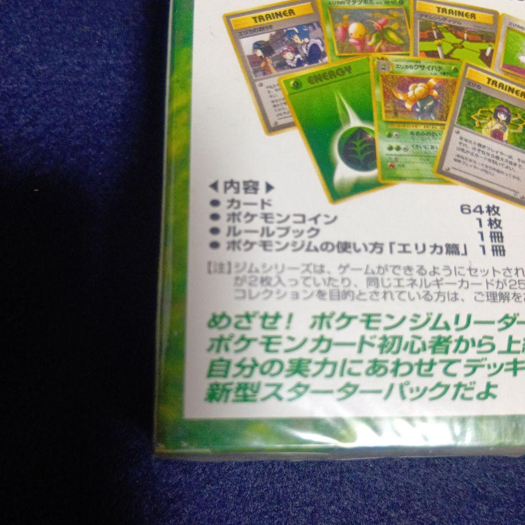 タマムシシティジム　エリカ