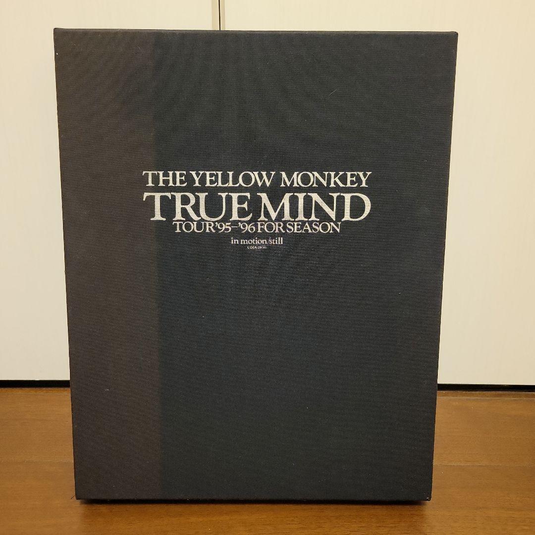 ザ・イエローモンキーTRUEMINDTOUR　95年～96年　特別BOX