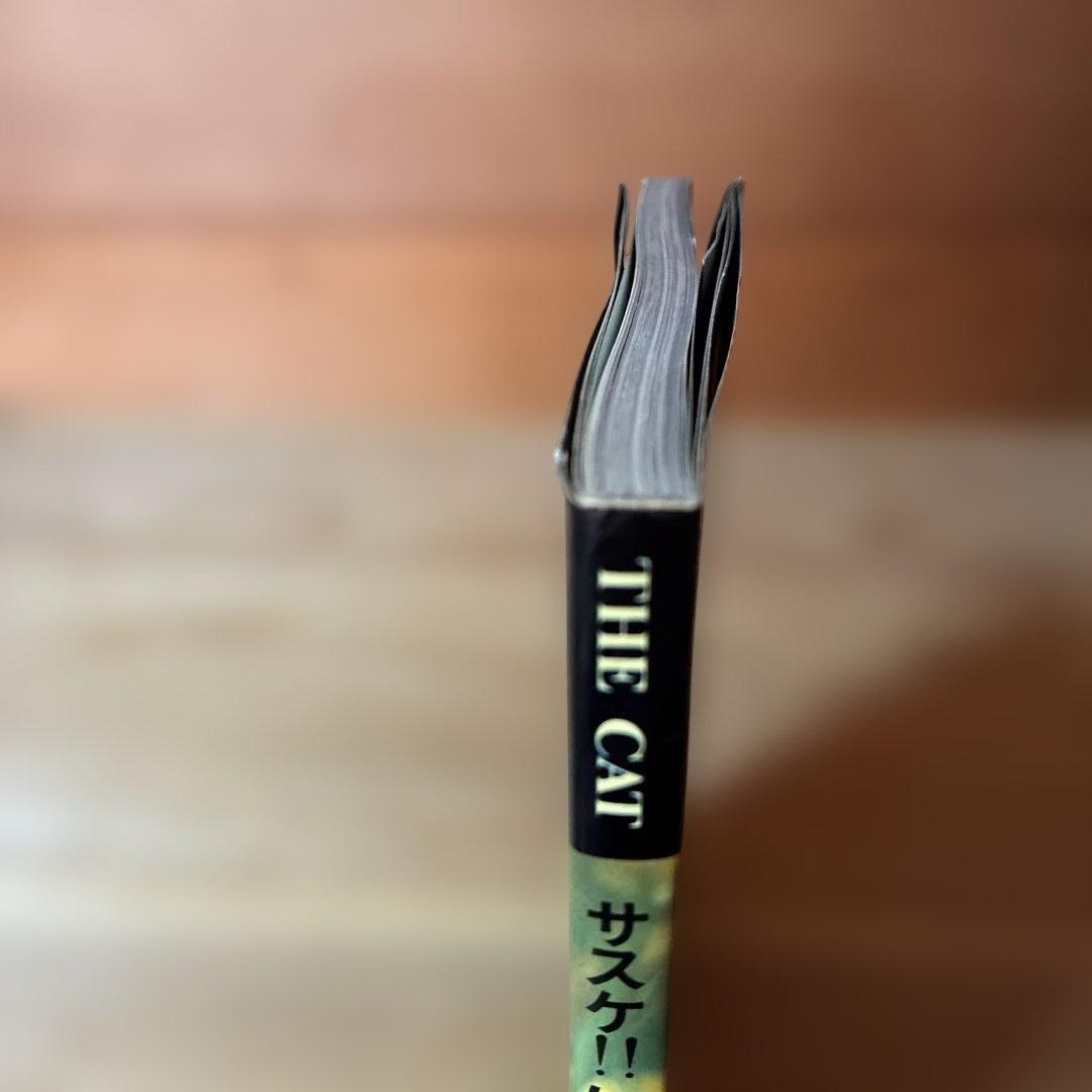 深瀬昌久　サスケ!!いとしき猫よ　写真集