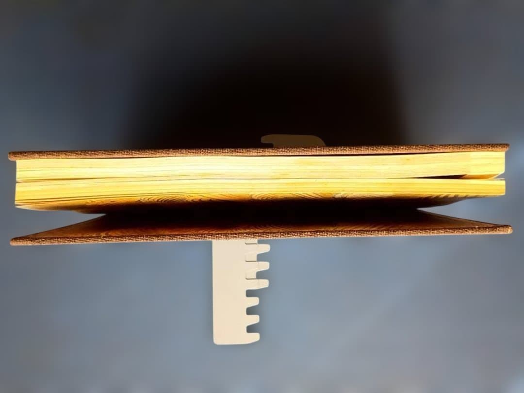 極楽絵 金子桂三　真保亨 毎日新聞社 定価50,000円 限定1200部