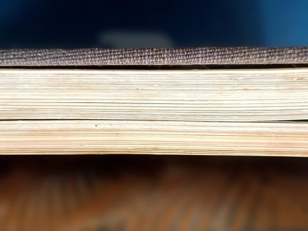 極楽絵 金子桂三　真保亨 毎日新聞社 定価50,000円 限定1200部