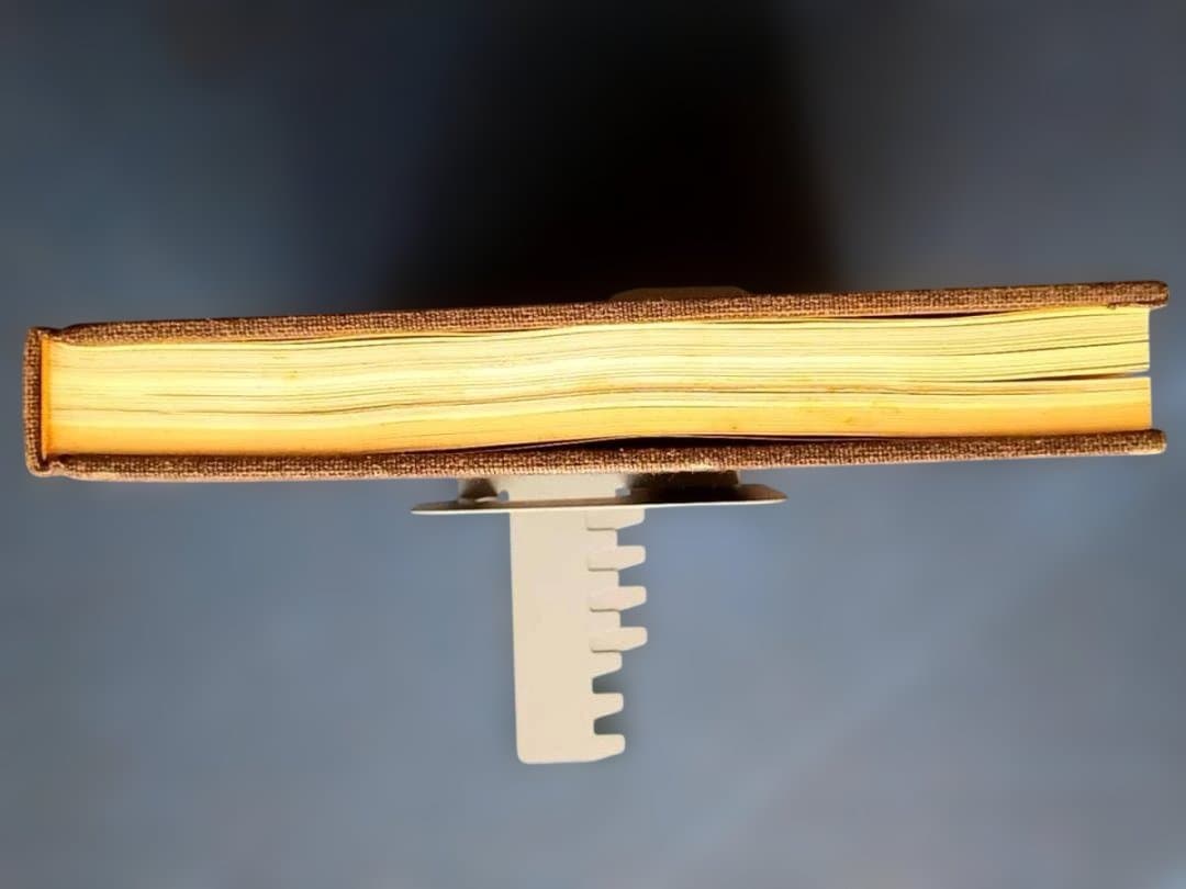 極楽絵 金子桂三　真保亨 毎日新聞社 定価50,000円 限定1200部