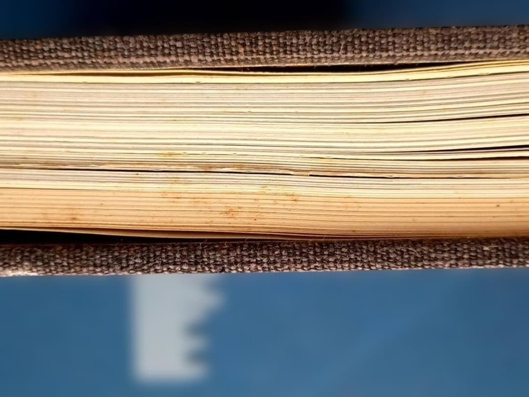 極楽絵 金子桂三　真保亨 毎日新聞社 定価50,000円 限定1200部