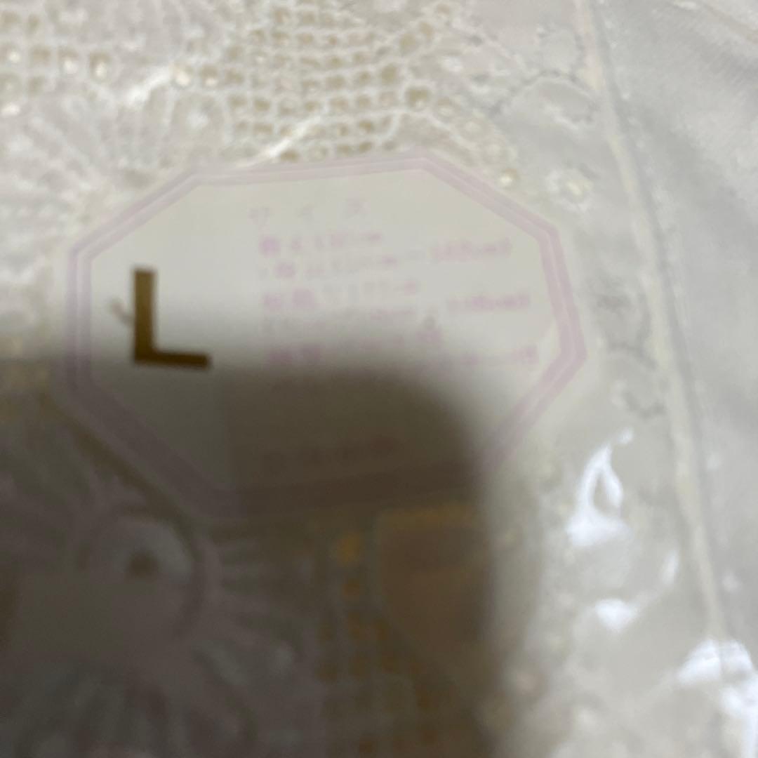 新品保管品　装道美容ランジェリー　L 小衿芯付き　補正パッド付き