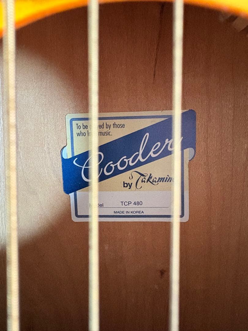 Cooler by Takamine アコースティックギター　TCP-480