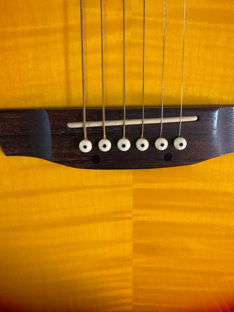 Cooler by Takamine アコースティックギター　TCP-480