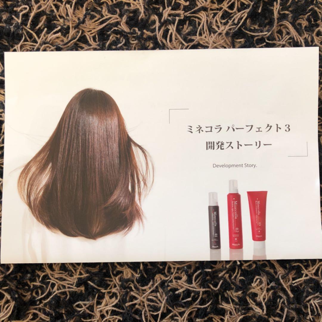 ミネコラ パーフェクト3 リダクションフォーム BIG200g×2本 新品未開封