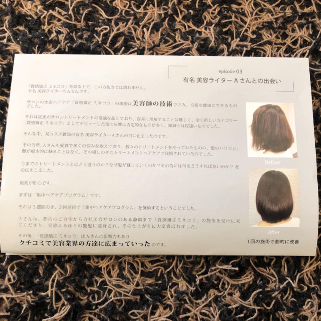 ミネコラ パーフェクト3 リダクションフォーム BIG200g×2本 新品未開封