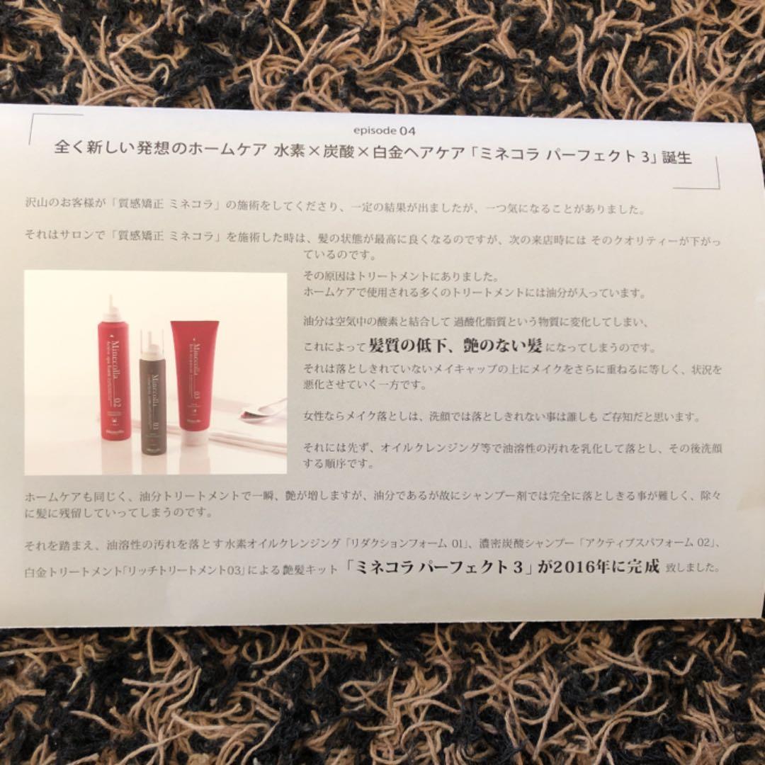 ミネコラ パーフェクト3 リダクションフォーム BIG200g×2本 新品未開封