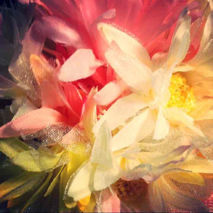 リナちゃんさん＊確認用