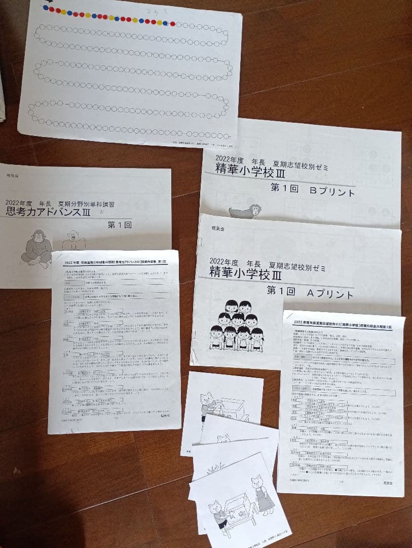 理英会2022 夏季志望校別ゼミ精華小学校+分野別単科講習フルセットお受験難関校