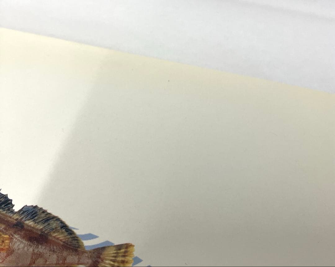 日本産魚類大図鑑 東海大学出版会か 出版 全2巻構成〈解説〉〈図版〉古本