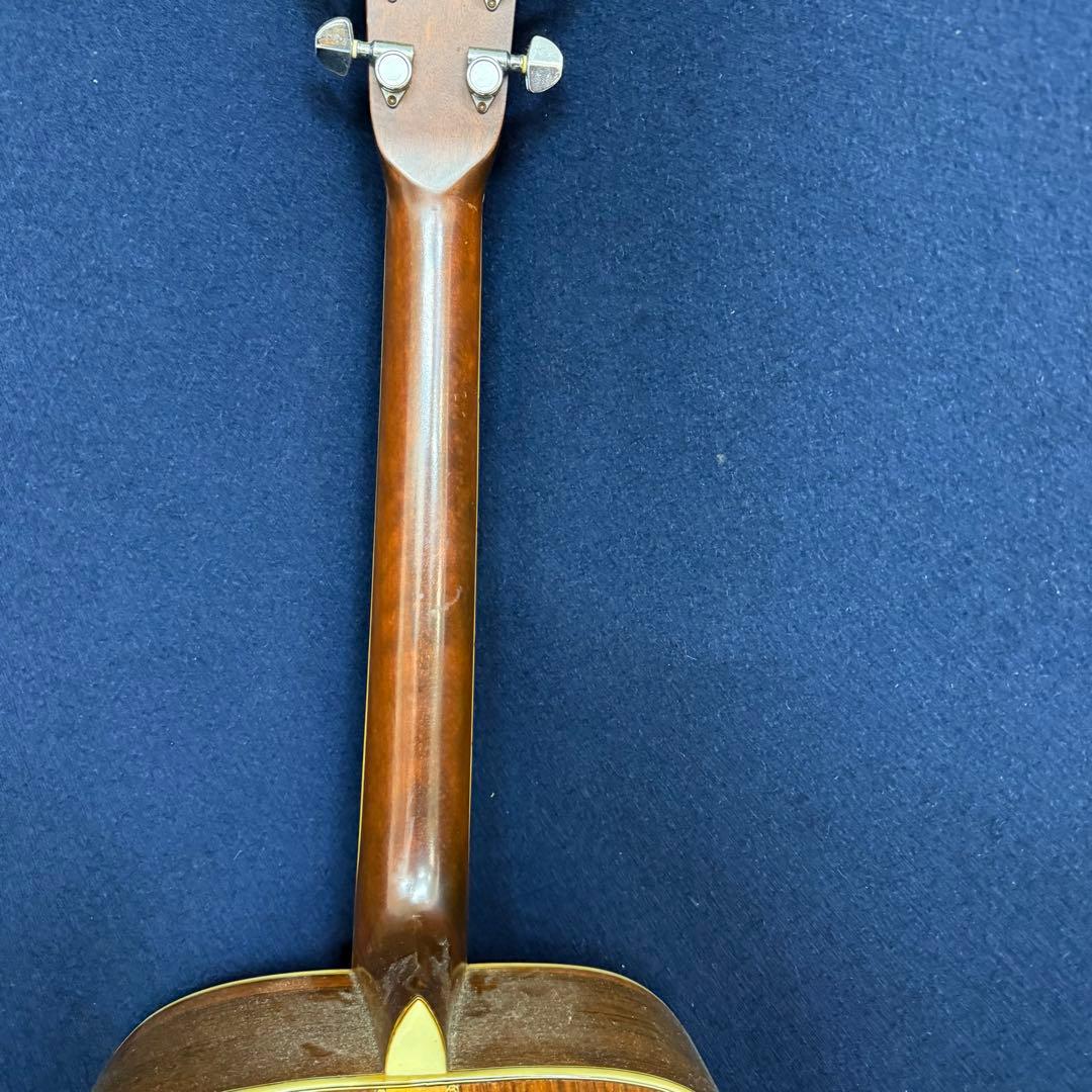 Pro Martin プロ マーティン W350 アコースティックギター