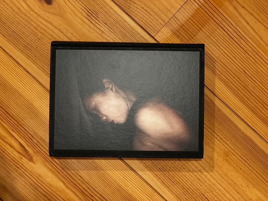 アート・デザイン・音楽 ANTIOINE D'AGATA ANTIBODIES