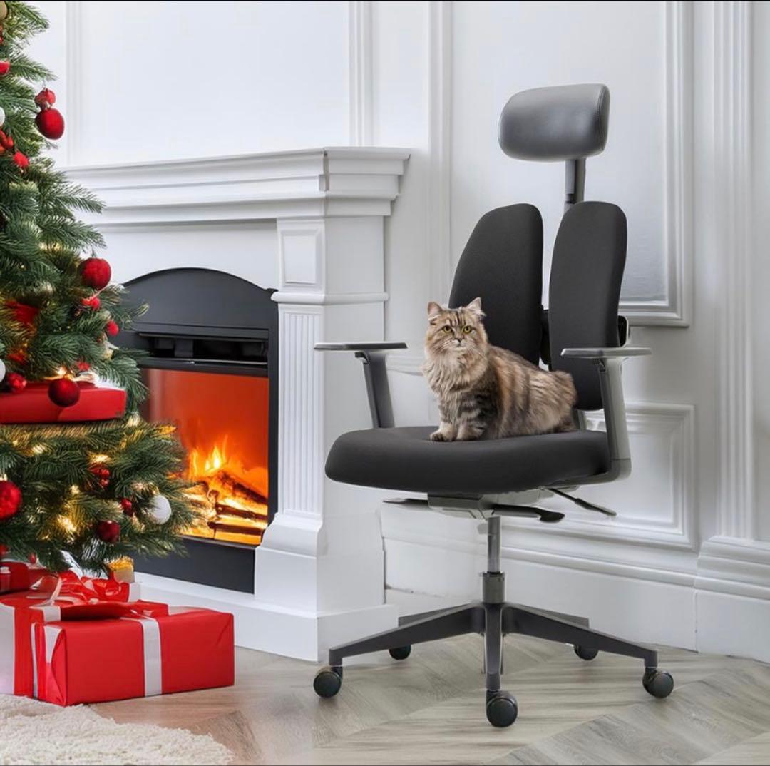 DUOREST 回椅子 NEXT1 ブラック