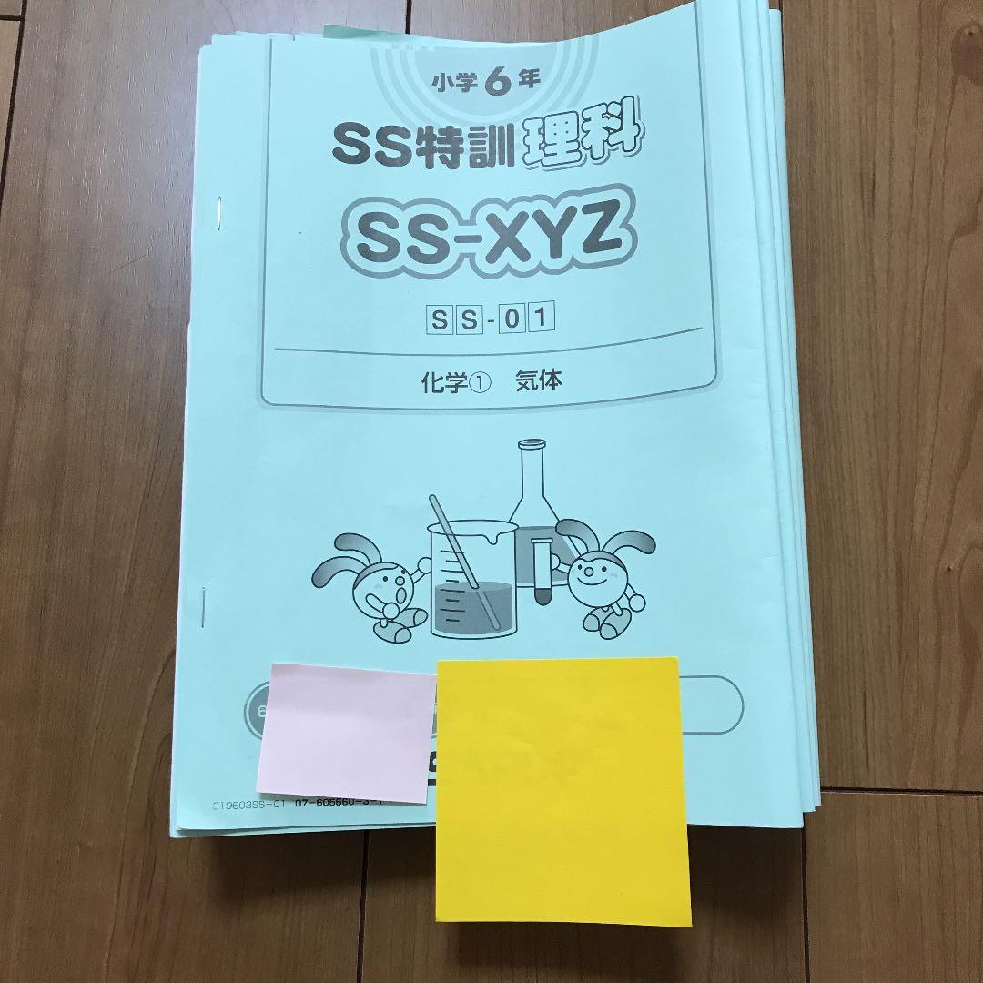 サピックス　6年　理科