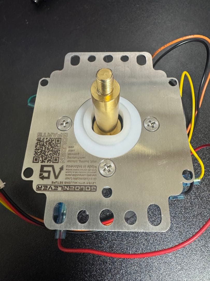 ゴールデンレバー　　カスタムパーツ多数