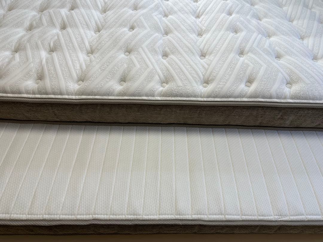 引取限定　N-sleepプレミアム P1-02CR VB