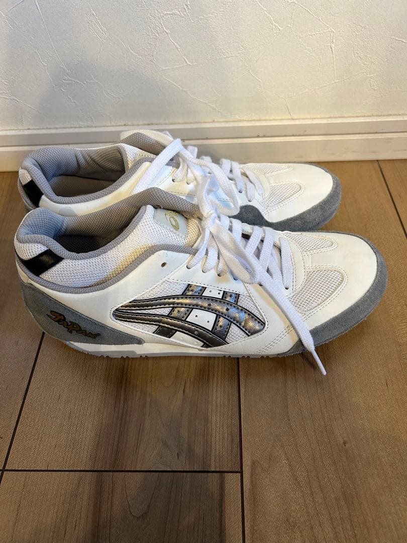 ASICS フェンシングシューズ　25㎝
