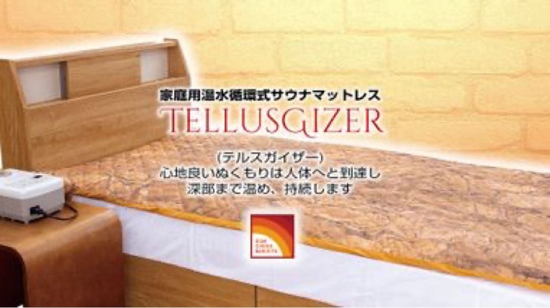 T*a様 YOSA！ヨサ！テルスガイザーリファイン！テラダウンケット！格安！！