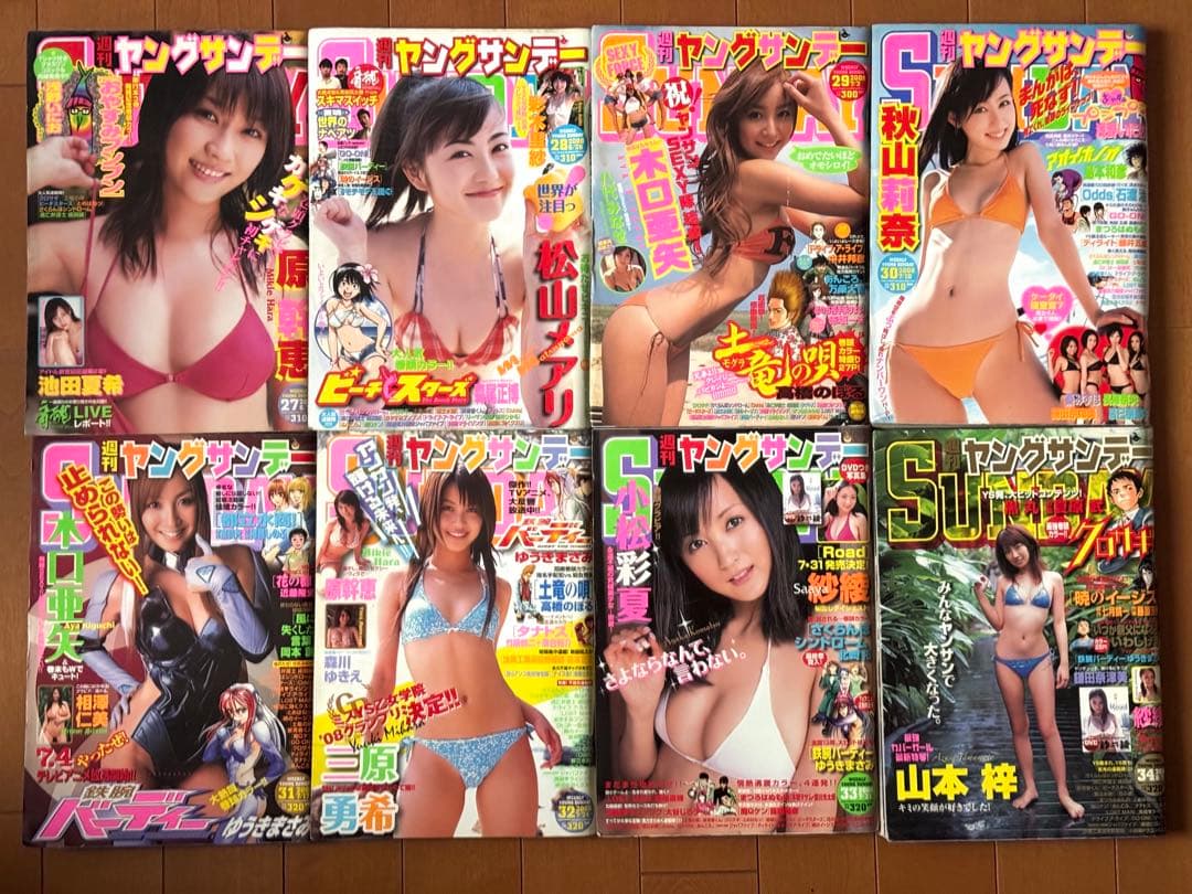 ヤングサンデー 2008年 レア 平成 グラビア アイドル　漫画 アニメ