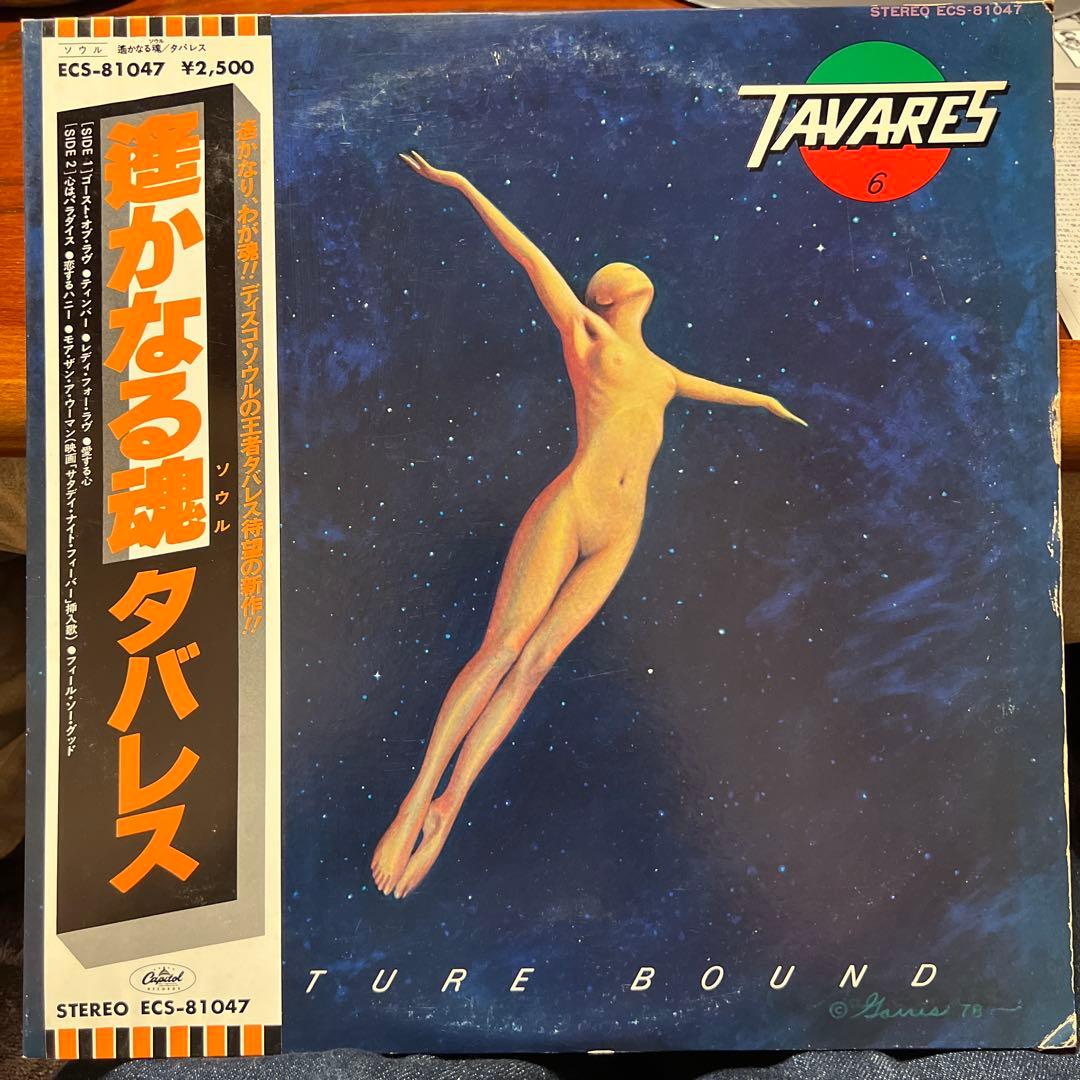 Tavares Future Bound ECS-81047 未使用
