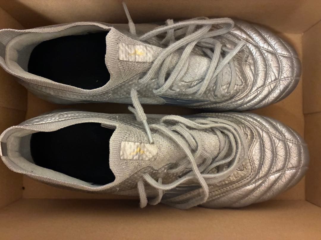 「限定色」モレリアネオ4ベータ