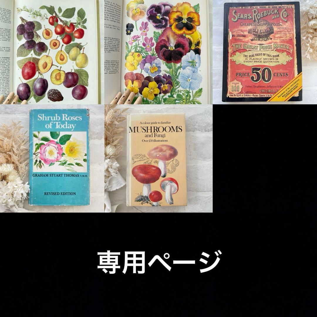 ５冊専用おまとめ