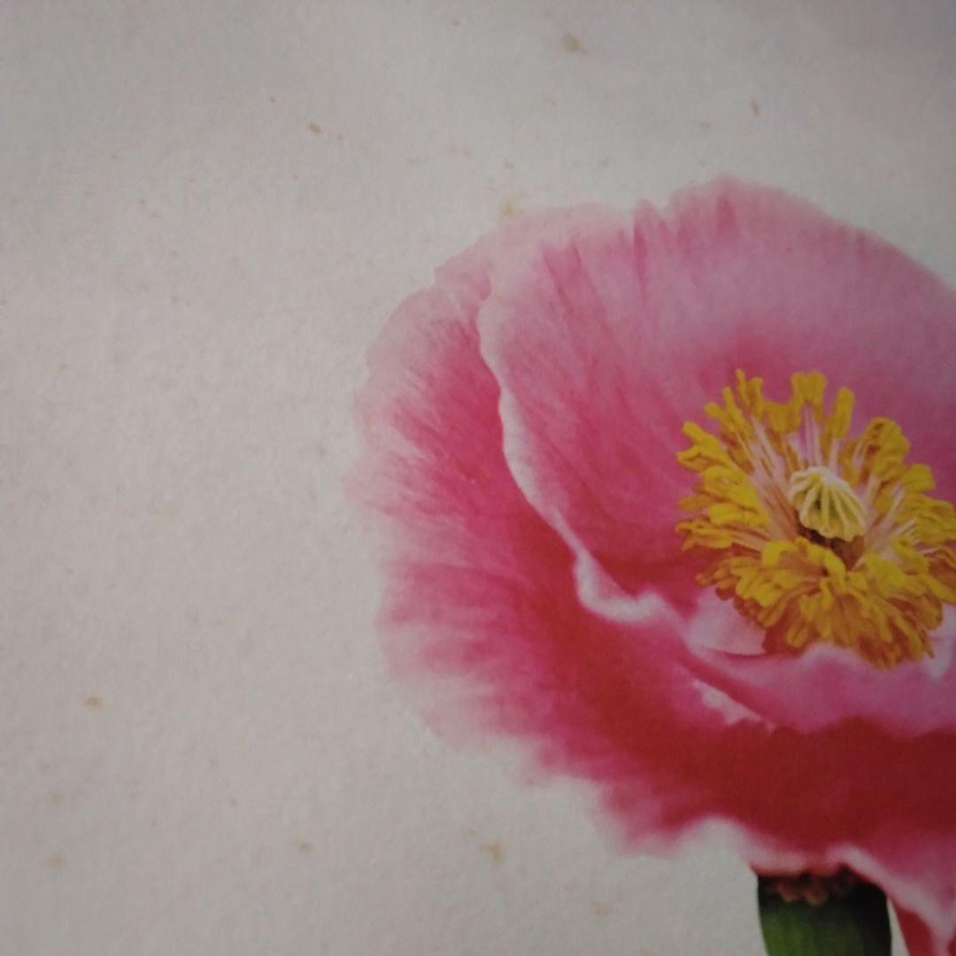 【非売品】Mr.children　ミスチル　販促用ポスターまとめ売り