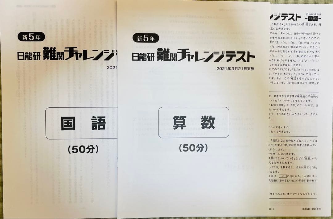 日能研／5年生／育成テスト／1年分／前期・後期・春夏冬／ステージⅢ Ⅳ 詳細解説