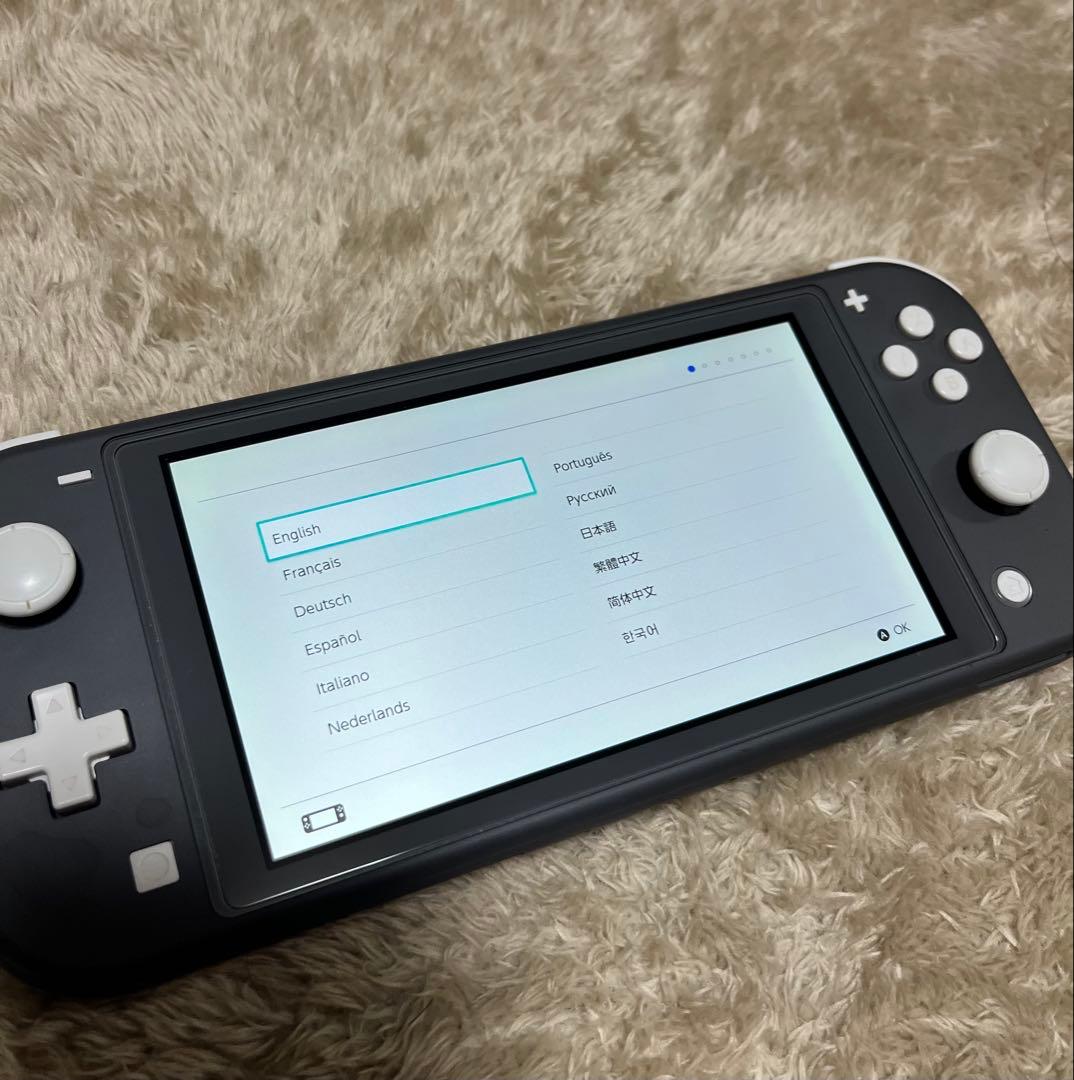 Nintendo Switch Lite グレー＋あつまれ どうぶつの森セット