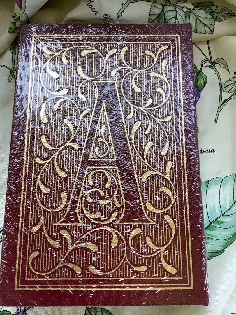 緋文字The Scarlet Letter Nathaniel Hawthorn