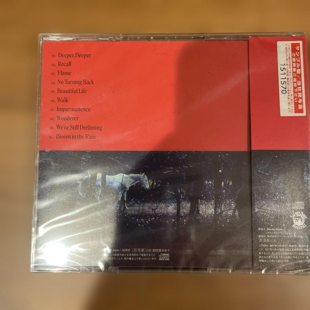 Nothing's Carved In Stone DVD CDセット