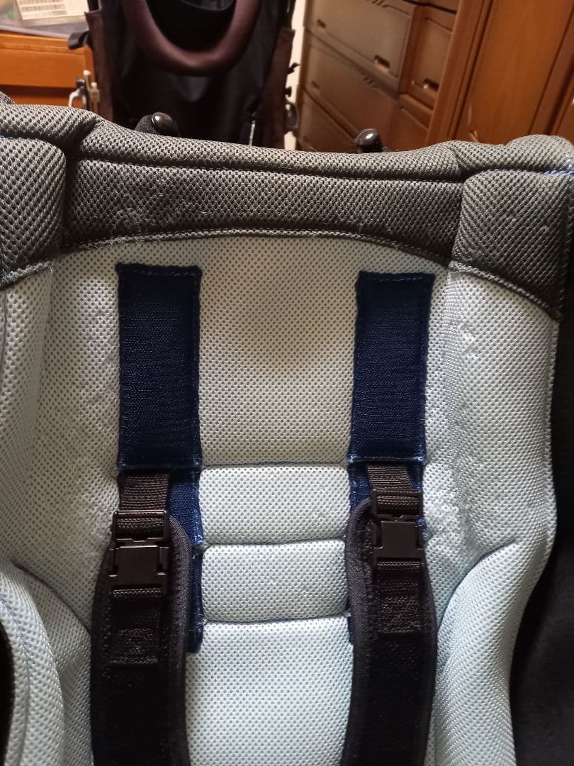 ピグレオティルト３　介助用バギー 黒と水色