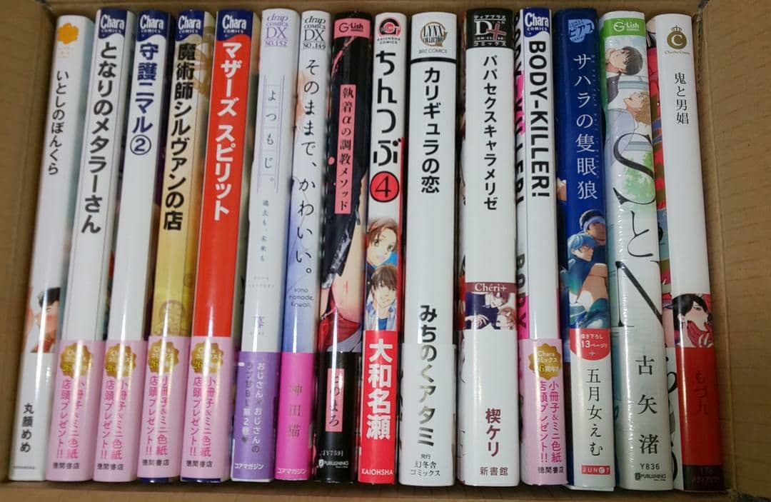 全て新品未読◆ほぼ初版◆15冊セット◆blコミックまとめ売り◆カリギュラの恋