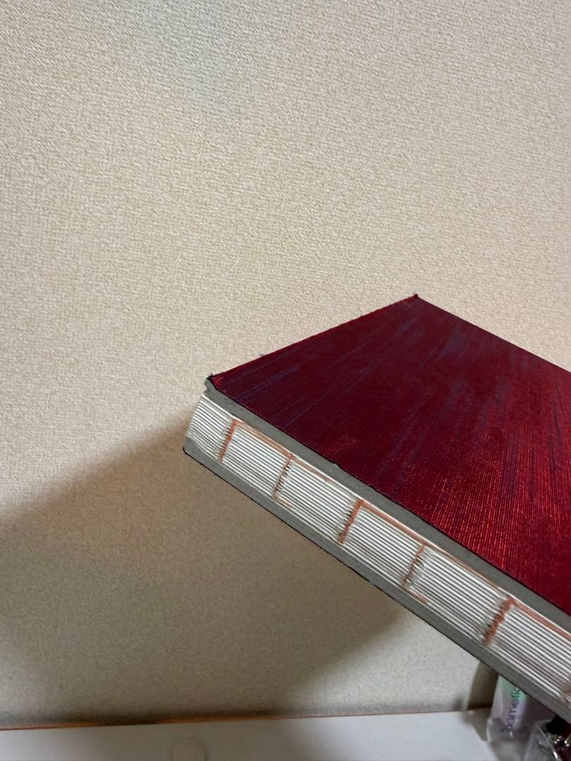 #FF0921 piezoglyphアートブック 写真集 菅田将暉 小松菜奈