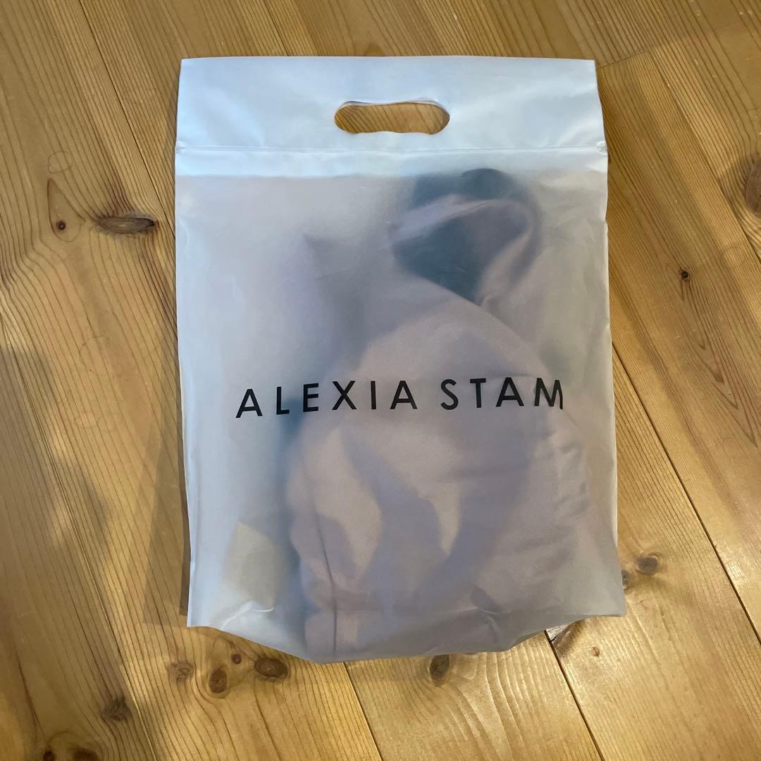 ALEXIASTAM 水着　繋ぎビキニ　モノキニ