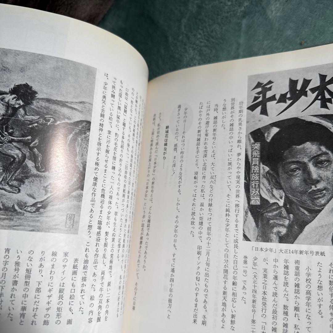 画家の肖像 高畠華宵の伝記と作品 ビンテージ　本　古本　沖積舎